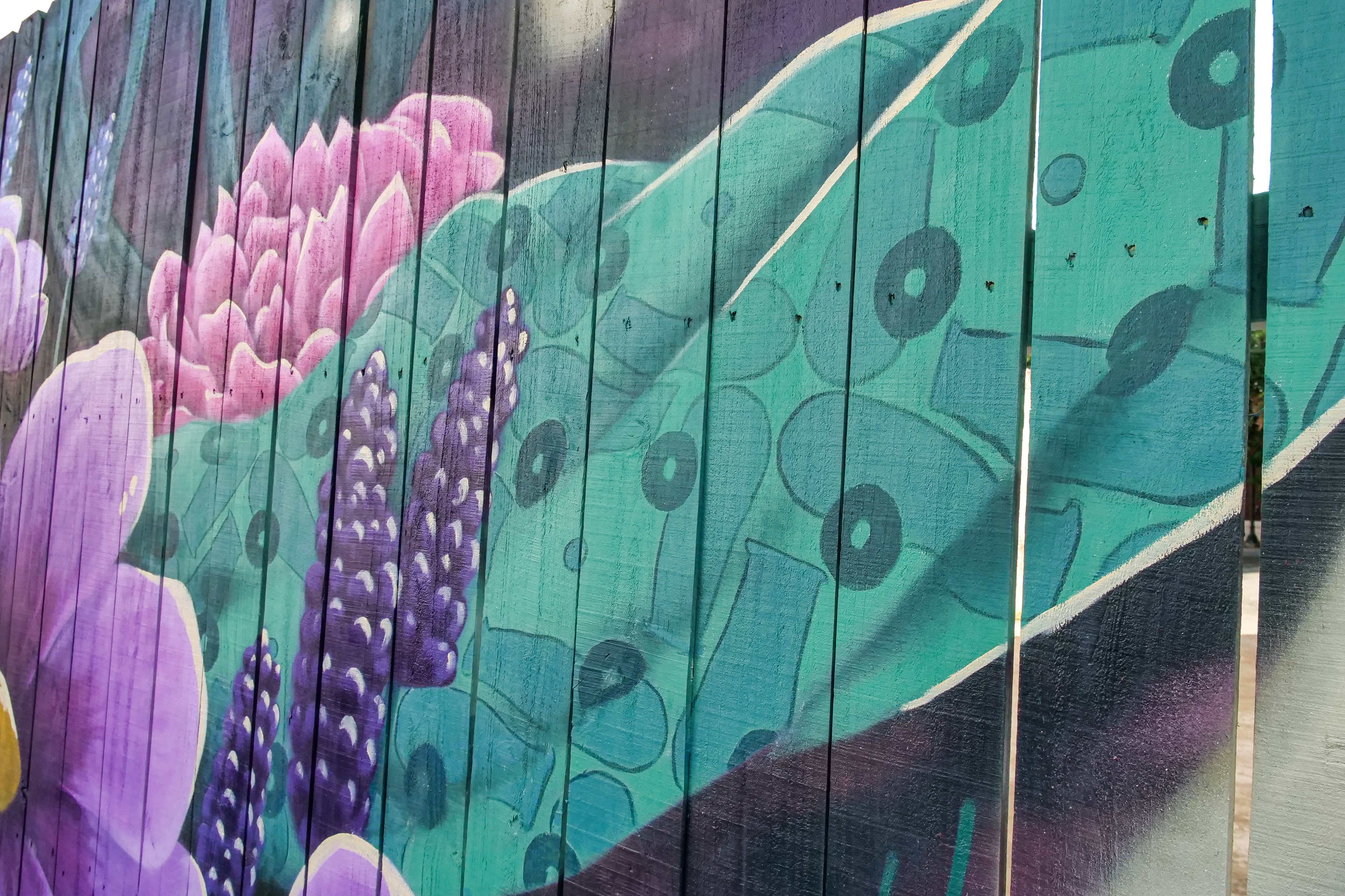 Cannon pattern from the Mural painted in Downtown Concord